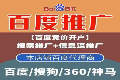 竞价托管与SEO结合的案例分析